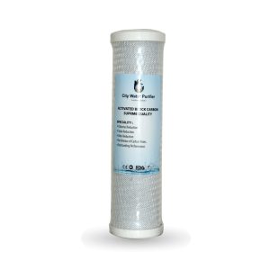 10 Inch (CTO) Activated Block Carbon Filter